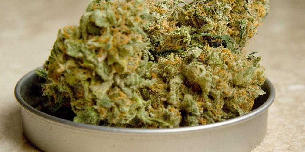We have a large On the web dispensary Canada!