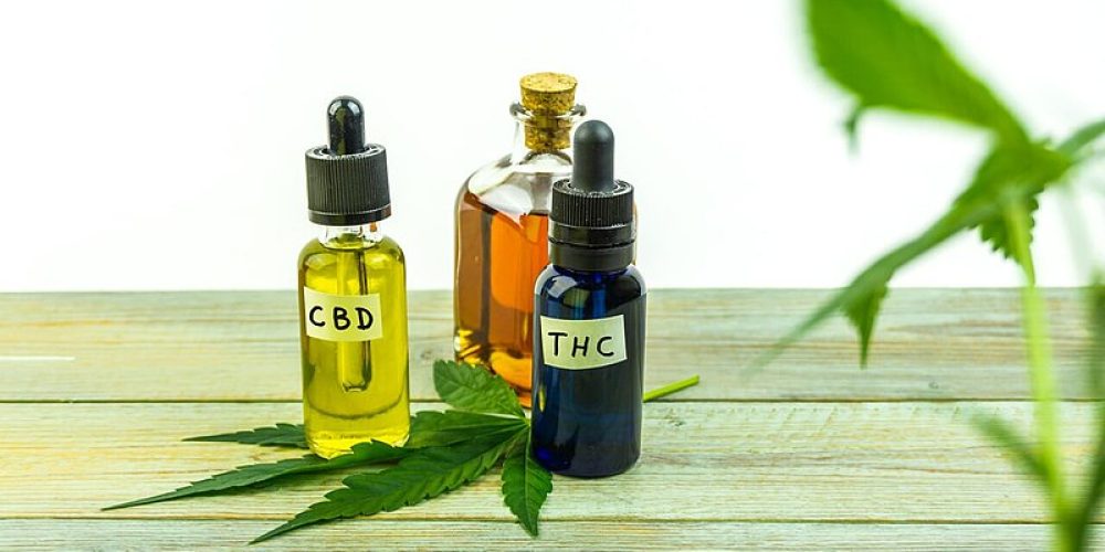 Natural Relief: Top CBD Oil for Dogs’ Joint Pain