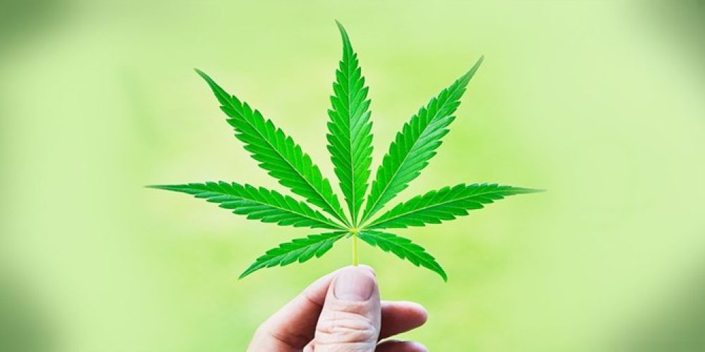 Avoiding Common Mishaps When it Comes to Cannabis Delivery Services